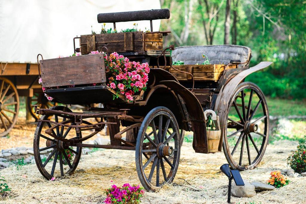 Cozy Wild West Covered Wagon Next To River แกรนท์พาส ภายนอก รูปภาพ